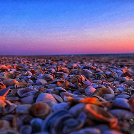 Im Haus Nordland Nordland, App ,47 Hund Apartamento *