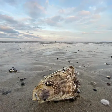 Im Haus Nordland Nordland, App ,47 Hund *