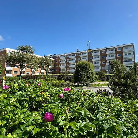 Im Haus Nordland Nordland, App ,47 Hund *